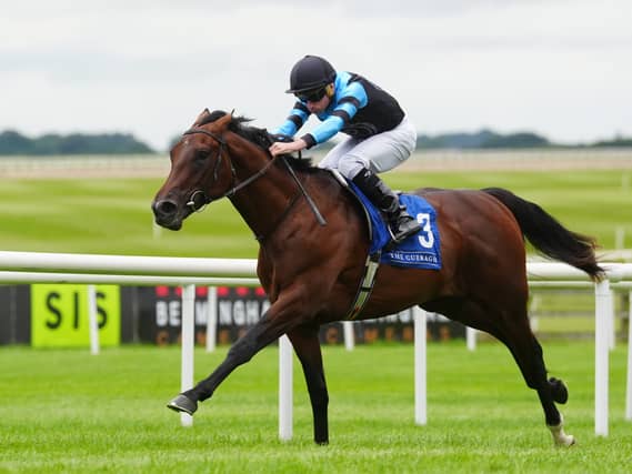 Giant Sequoia has sparked Derby dreams for John Stewart