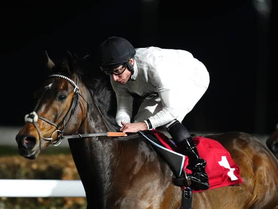 Constitution Hill is being prepared to return to the track