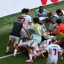 Youri Tielemans celebrates with teammates