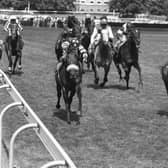 Mtoto (right) ridden by Michael Roberts comes in to win the Coral-Eclipse Stakes at Sandown Park