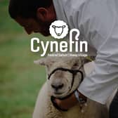 A new sheep village called “Cynefin” set to be a major attraction at this year’s Royal Welsh Show