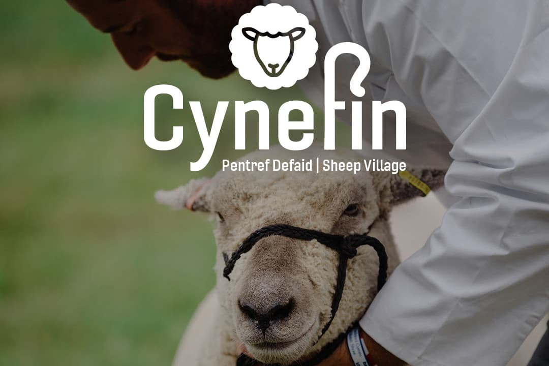 Ein neues Schafdorf namens „Cynefin“ soll eine Hauptattraktion der ...