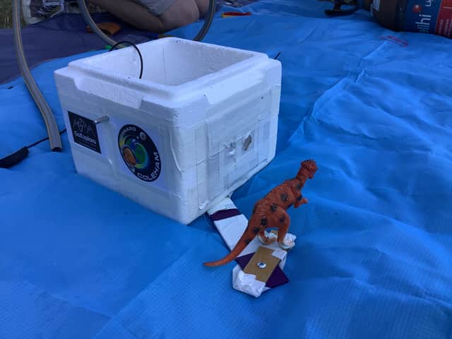 Bernard was sent on the adventure by the pupils.