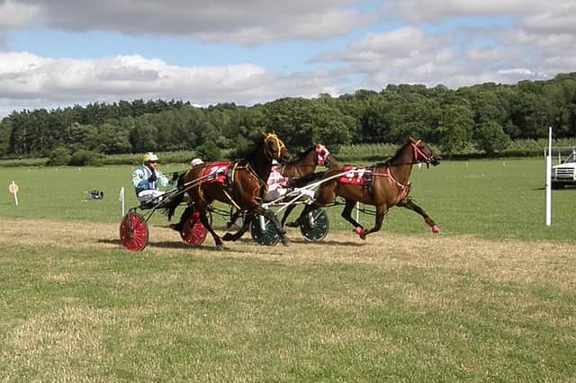 The Dash was won by Wye Doon