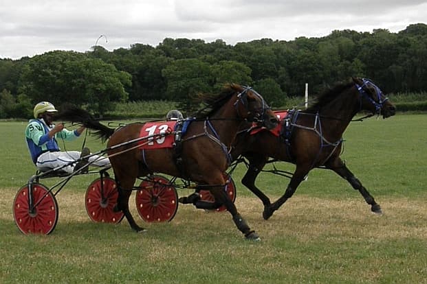 Don Bobby shines in latest harness racing outing