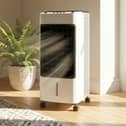 The Hirix portable air cooler has a 4L water tank, oscillation and an ice pack included