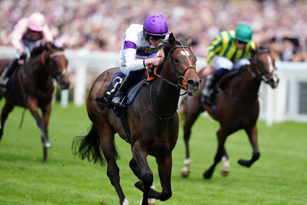 Orthodox dazzled at Royal Ascot