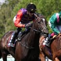 Point Of Law (left) winning the Bahrain Trophy at Newmarket