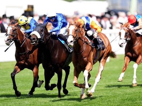 Opera Ballo (white cap) in action at Royal Ascot