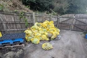 One of the piles of animal bodies in bags Jessica Roberts found at Animal Funeral Services near Kington