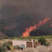 A wildfire rages in Alfajir, near Almeria in south-eastern Spain