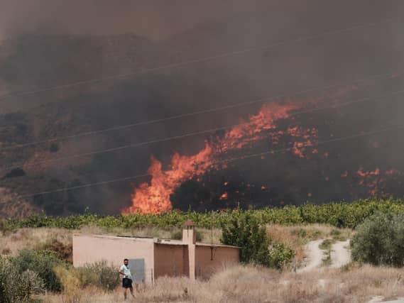 A wildfire rages in Alfajir, near Almeria in south-eastern Spain