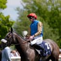 Flora Of Bermuda won her second Summer Stakes at York