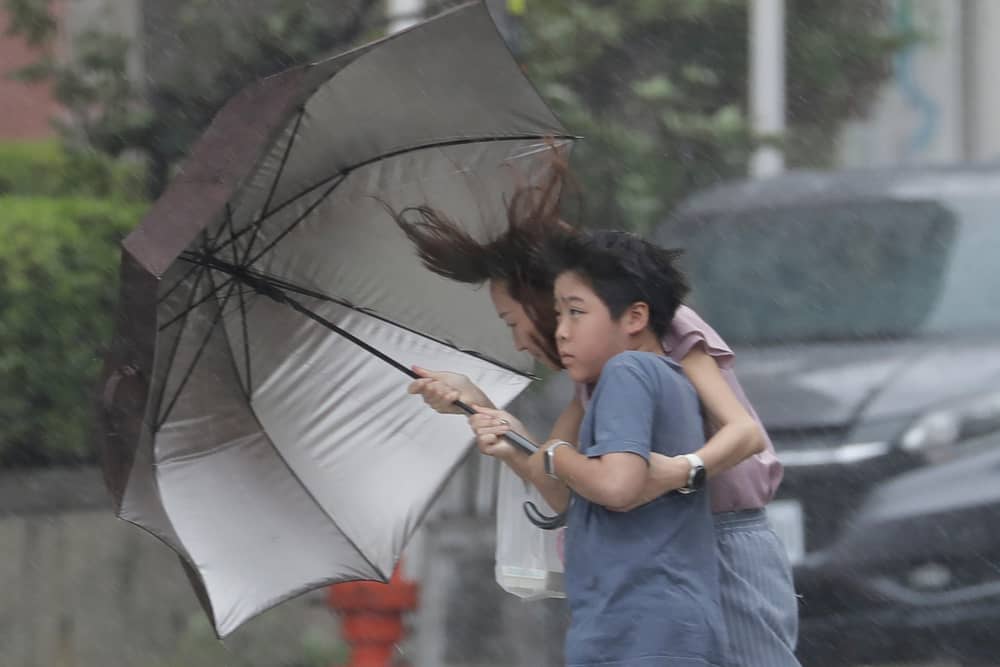 People struggle with an umbrella