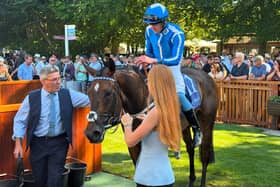 Venetian Sun after finishing second at Newmarket