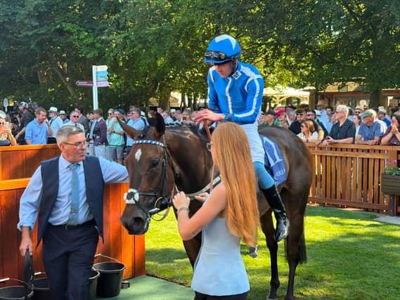 Venetian Sun after finishing second at Newmarket