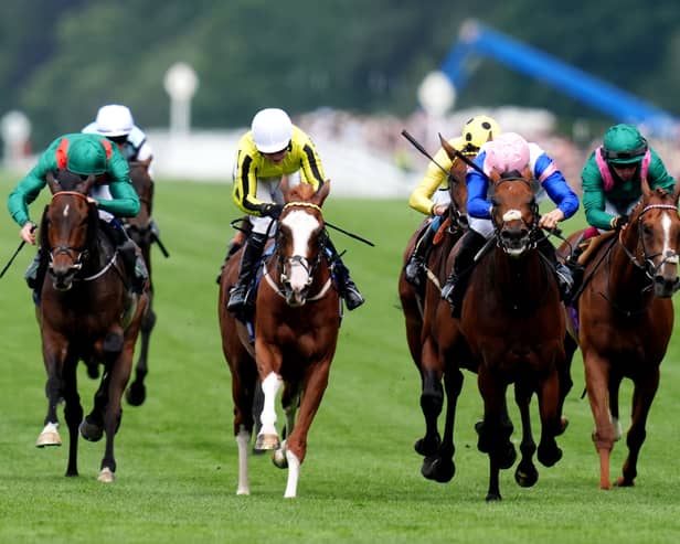 Ranga Tang (white face) went close at Ascot