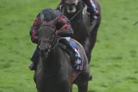 Maltese Cross in action at Epsom