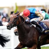 Earth Shot winning at Royal Ascot