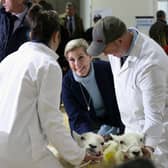 Her Royal Highness The Duchess of Edinburgh will visit the Royal Welsh Show on Tuesday, 21 July 2026.