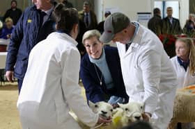 Her Royal Highness The Duchess of Edinburgh will visit the Royal Welsh Show on Tuesday, 21 July 2026.