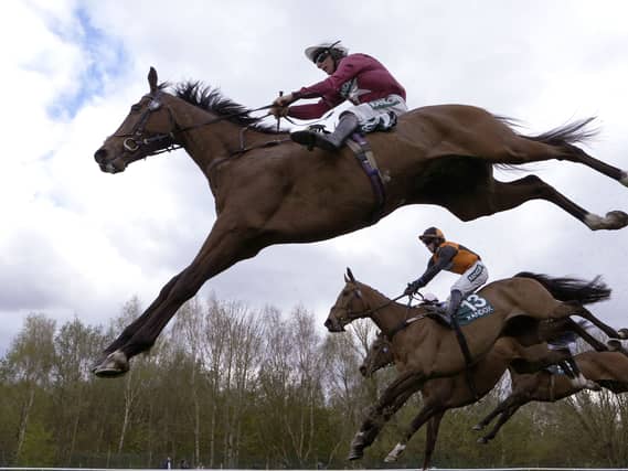 Mahons Glory is Dylan Cunha's number one jumps horse