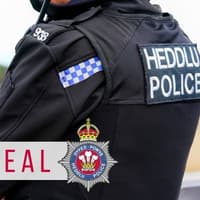 Police investigation after driver dies in crash on Mid Wales A-road