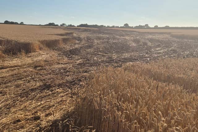 Multiple fires in the open have been reported since the heatwave began