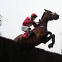 Soul Icon in the hands of Harry Cobden at Kempton