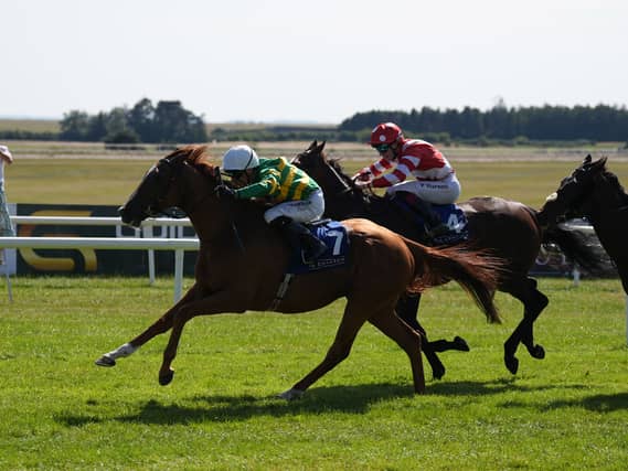 Trustyourinstinct and Declan McDonagh win at the Curragh