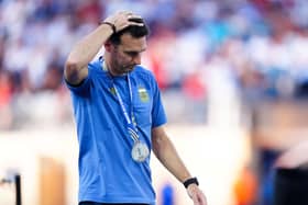 Argentina manager Lionel Scaloni following his side's World Cup final defeat
