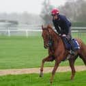 El Cairos is going for the Galway Plate