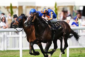 Scandinavia beats Trawlerman in epic Ascot Gold Cup