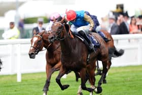 Earth Shot has been backed to bounce back