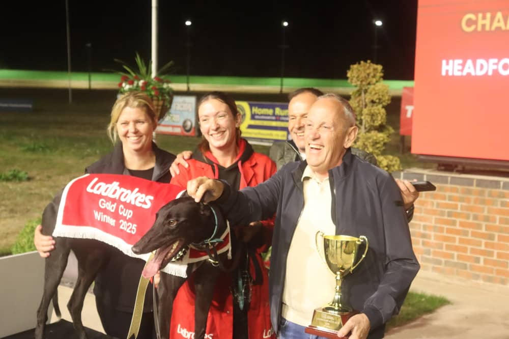 Headford Dane completed a superb Gold Cup and Puppy Derby double in 2025
