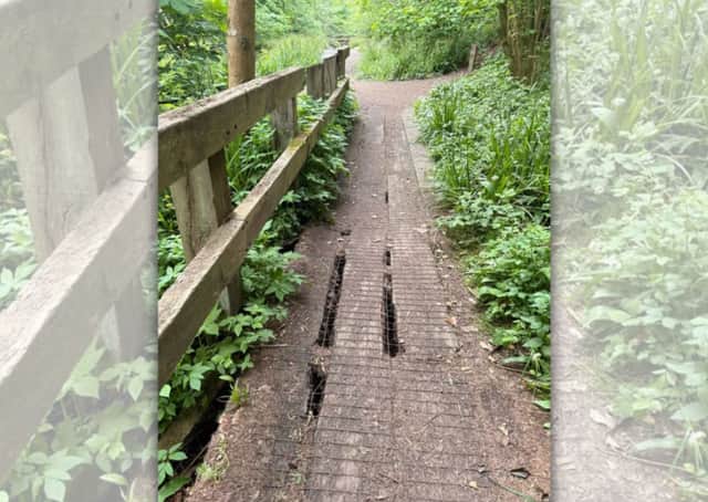 The Loamhole Dingle boardwalk