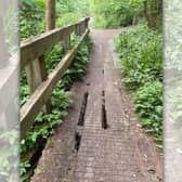 The Loamhole Dingle boardwalk