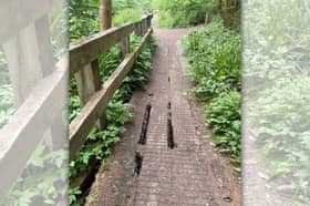 The Loamhole Dingle boardwalk