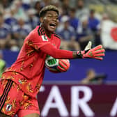 Zion Suzuki has 28 caps for the Japan national team