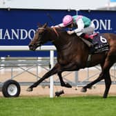 Jockey Colin Keane and Kalpana win at Ascot
