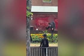 Video grab of the shocking moment a gang of youth thugs laughing while they destroy a town centre flower bed.