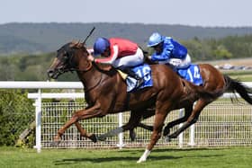 Qatar Goodwood Festival 2026 – Day One