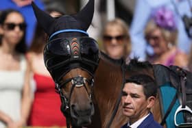 Trawlerman was impeded by a loose horse in the Goodwood Cup