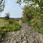 River Onny in Shropshire is dried up