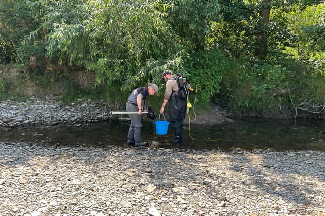 The Environment Agency is rescuing fish on the River Teme in Shropshire