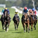 Qatar Goodwood Festival 2026 – Day Two