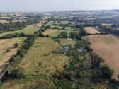 Aerial image of vegetation where a beaver wetland has been created, with dry fields either side