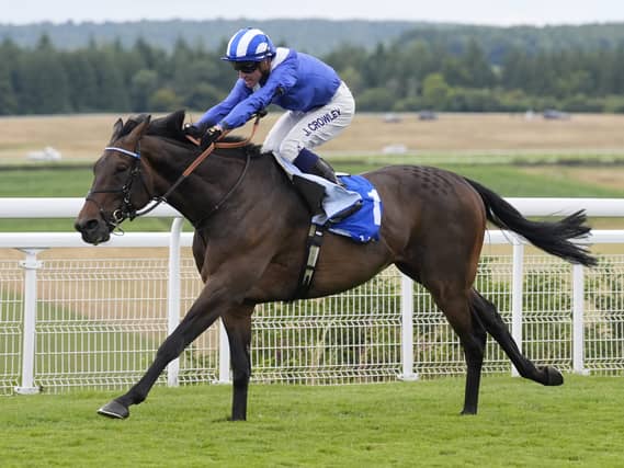 Al Aasy winning last year's Glorious Stakes at Goodwood