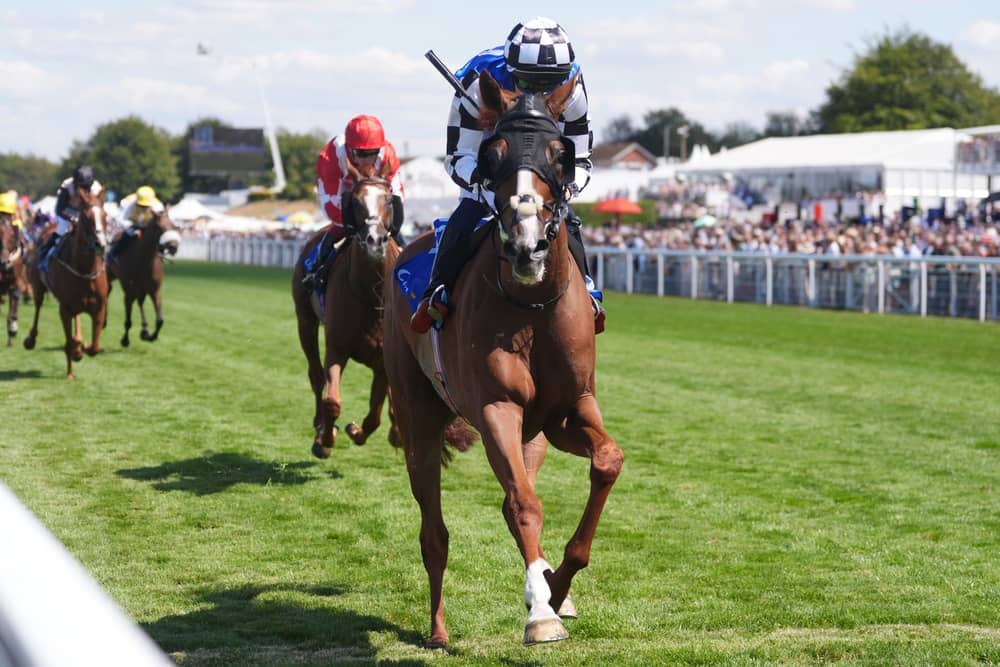 Qatar Goodwood Festival 2026 – Day Four