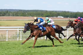 Qatar Goodwood Festival 2026 – Day Four